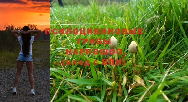 марки nbome Арсеньев